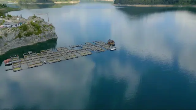 Ribnjak